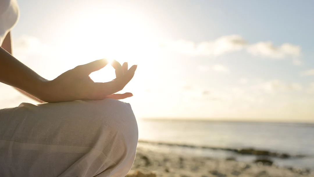 Hashimoto verstehen: Der Moment, in dem ich gemerkt habe, dass „gesund“ nicht gleich richtig ist