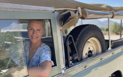 Kostenloses Webinar am 31.3.26